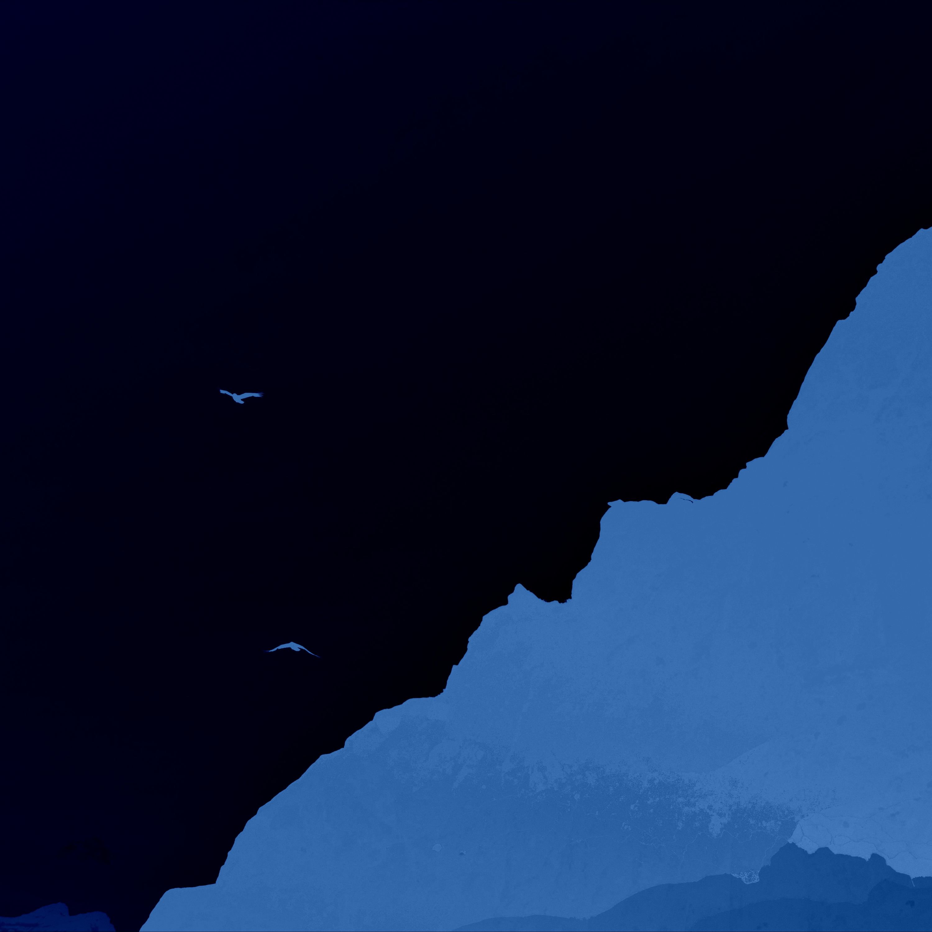 Collapse All Branches placeholder cover